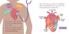 Baby Medical School: My Doctor's Visit