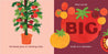 Our Food Grows Book