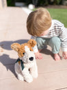 Jacques the Jack Russell
