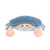 Shy Crab