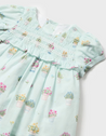 Potted Floral Dress & Bloomer Set