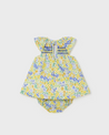 Dandelion Dress & Bloomer Set